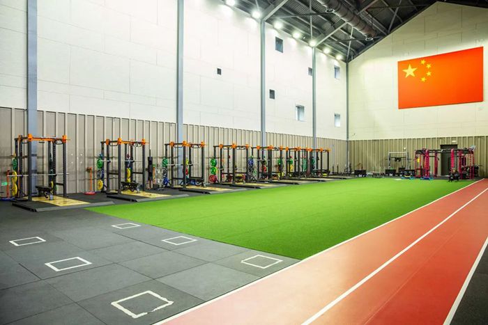 体能训练解决方案-广西好博体育